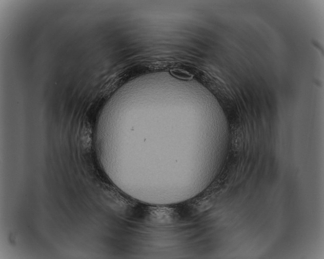 X0000091640226200709131437