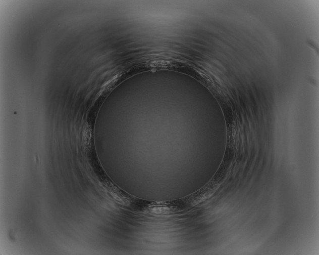 X0000091640228200709131437