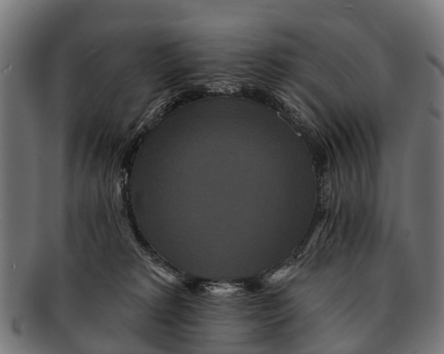 X0000091640229200709131437