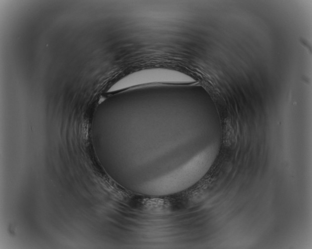 X0000091640230200709131437