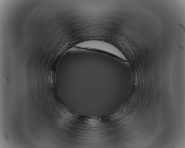X0000091640232200709131437