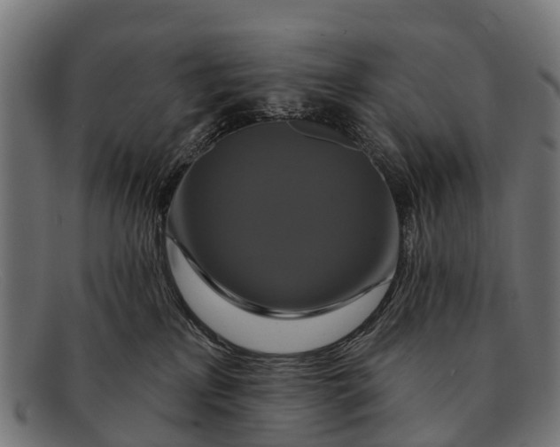 X0000091640233200709131437