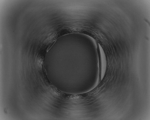 X0000091640235200709131437