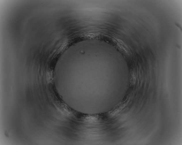 X0000091640236200709131437