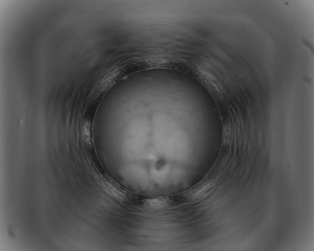 X0000091640238200709131437