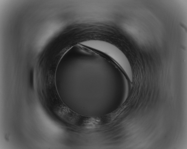 X0000091640239200709131437