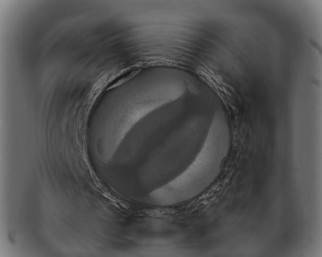X0000091640241200709131436
