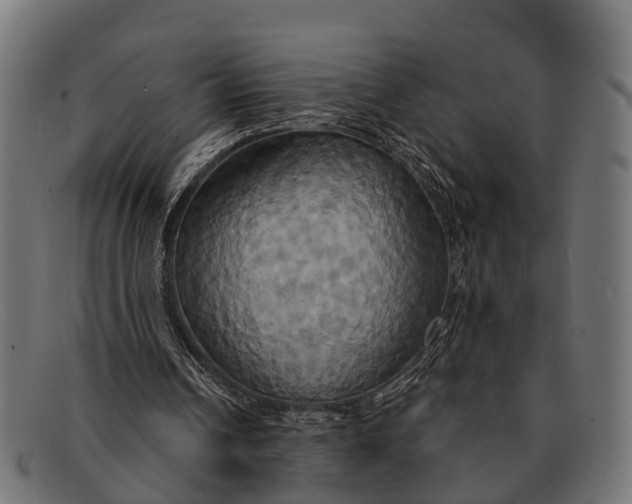X0000091640242200709131436