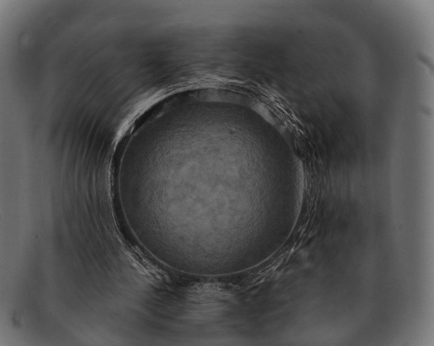 X0000091640244200709131436