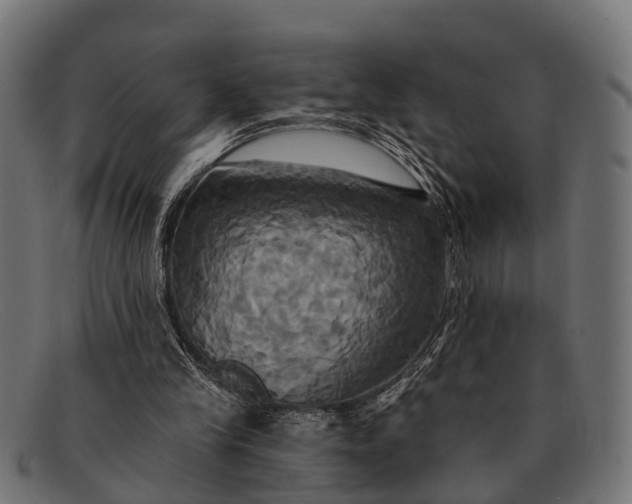 X0000091640245200709131437