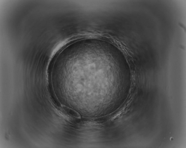 X0000091640246200709131437