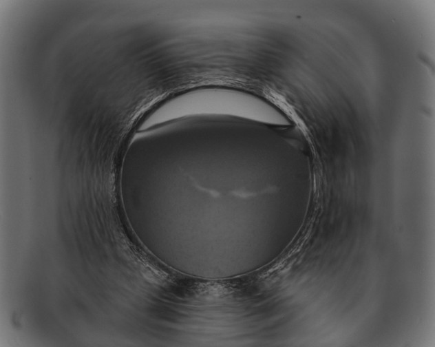X0000091640249200709131437