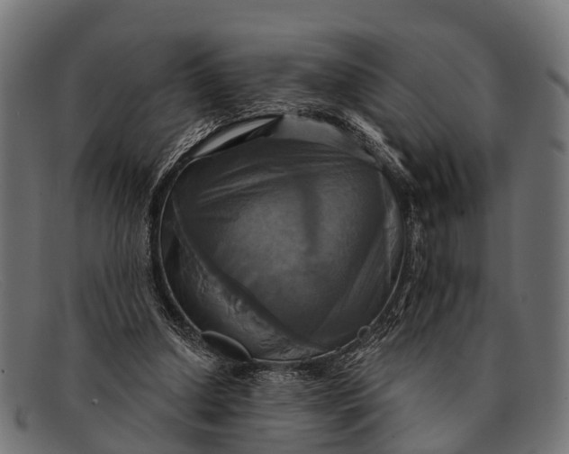 X0000091640250200709131437