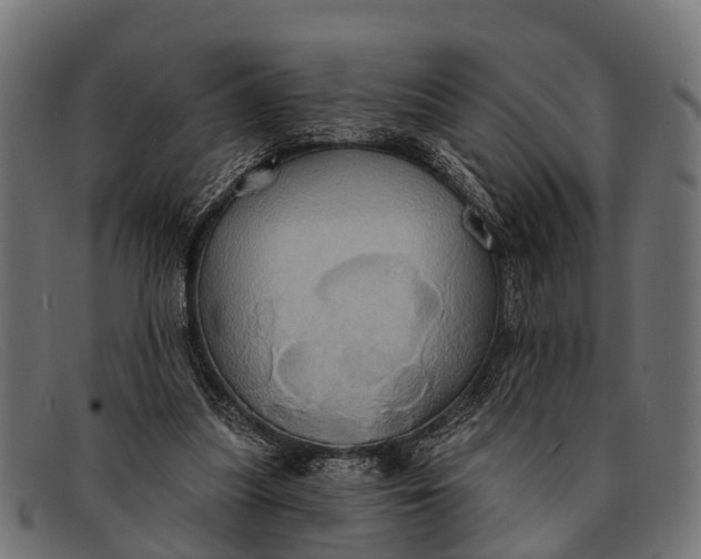 X0000091640251200709131437