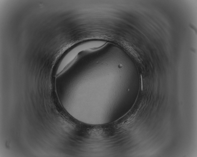 X0000091640252200709131437