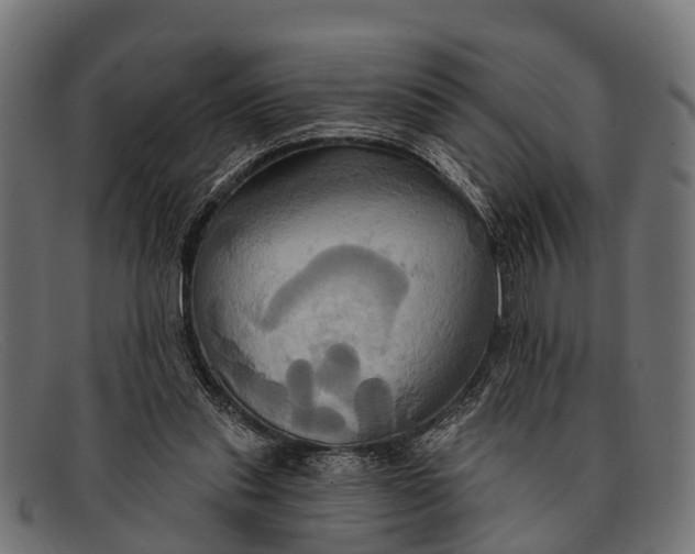 X0000091640253200709131437