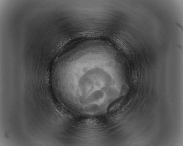 X0000091640255200709131437
