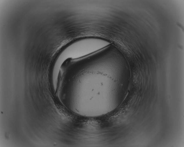 X0000091640256200709131437