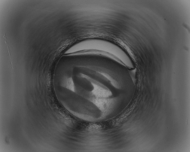 X0000091640257200709131437