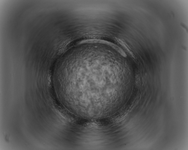 X0000091640259200709131437