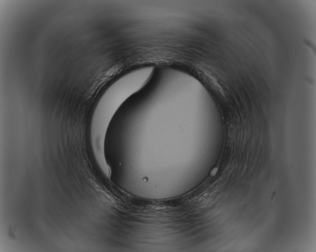 X0000091640260200709131437