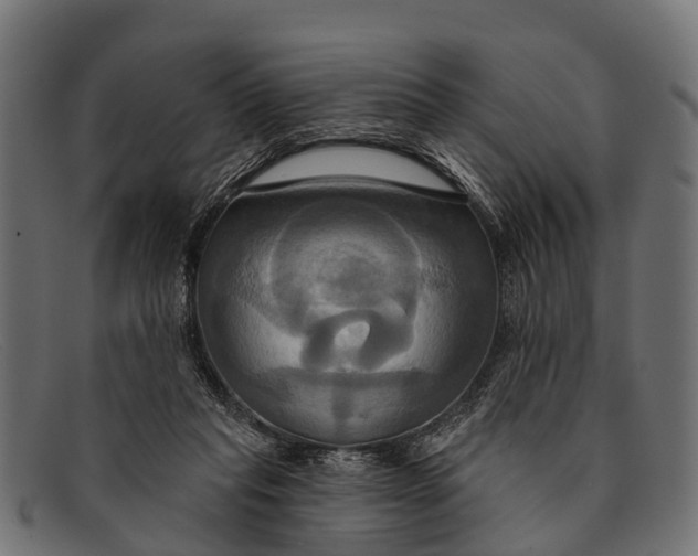 X0000091640261200709131437
