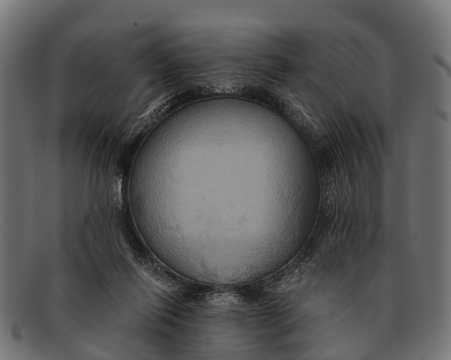X0000091640262200709131437