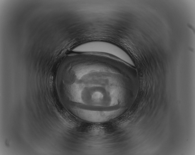 X0000091640263200709131437