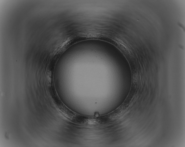 X0000091640264200709131437