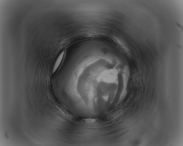 X0000091640265200709131437