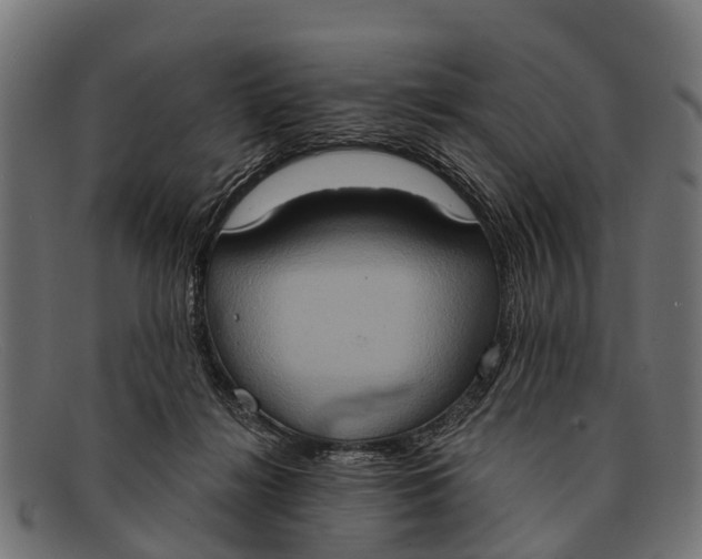 X0000091640268200709131437