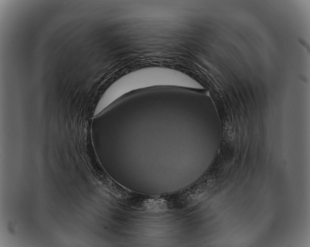 X0000091640271200709131437