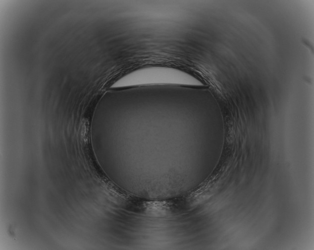 X0000091640273200709131437
