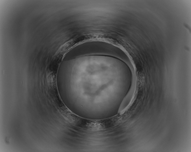 X0000091640276200709131437