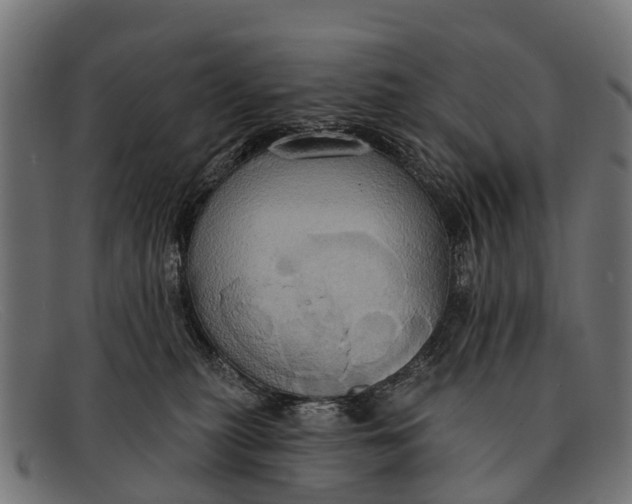 X0000091640279200709131437