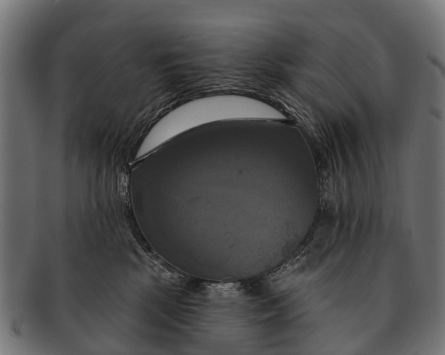 X0000091640281200709131437