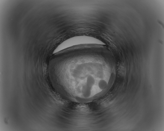 X0000091640283200709131437