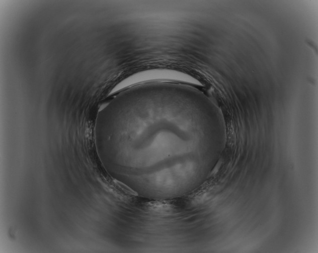 X0000091640284200709131437