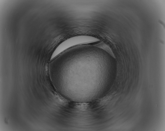 X0000091640288200709131437