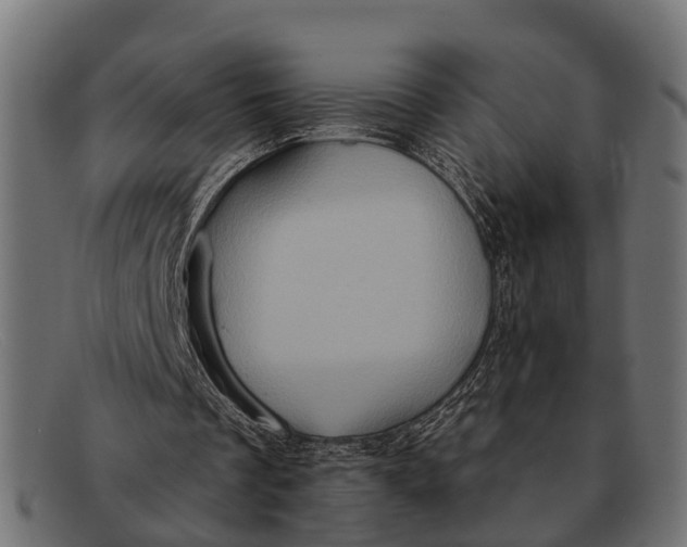 X0000091640289200709131436