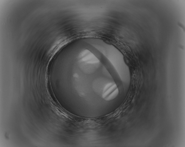 X0000091640290200709131436