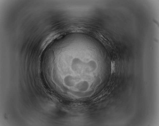 X0000091640291200709131436