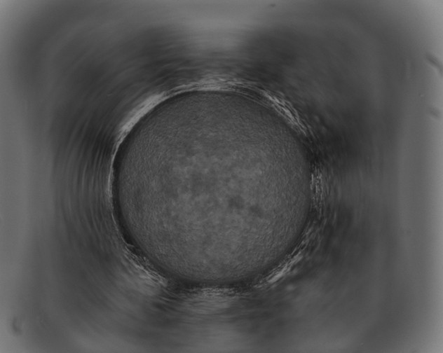X0000091640292200709131436