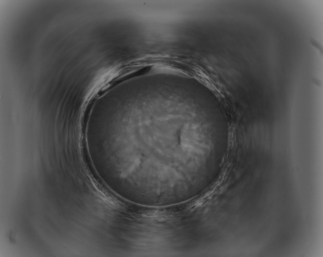 X0000091640293200709131436