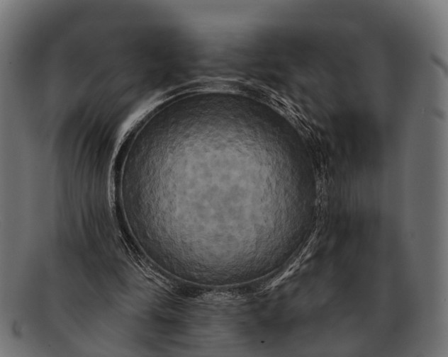 X0000091640294200709131436