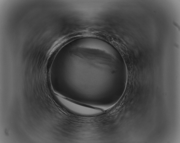 X0000091640295200709131436
