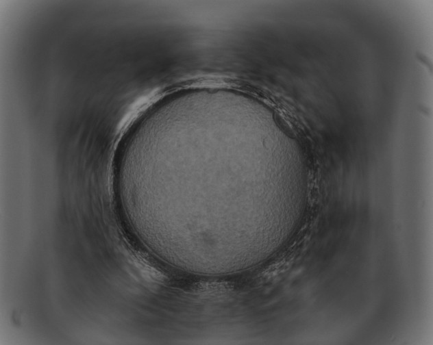 X0000091640296200709131436