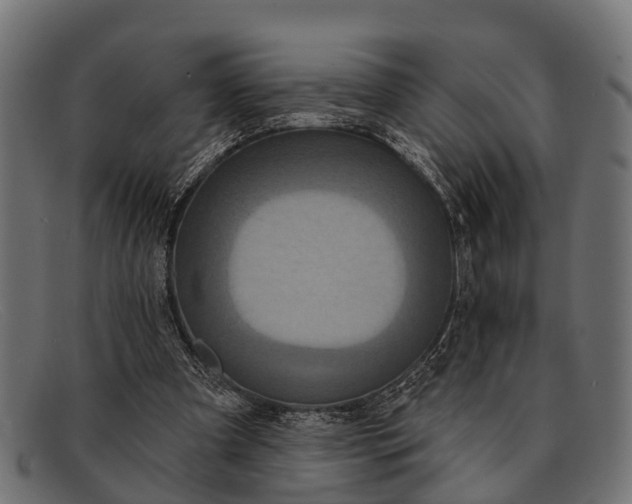 X0000091640297200709131436