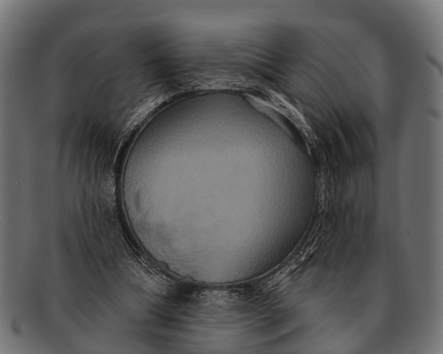 X0000091640298200709131436