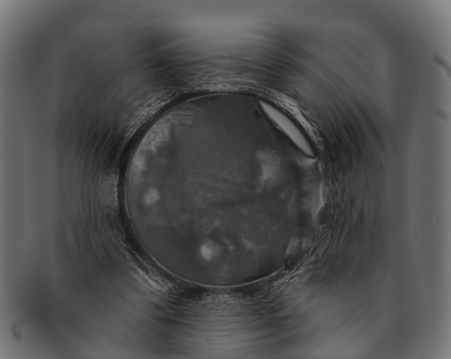 X0000091640299200709131436